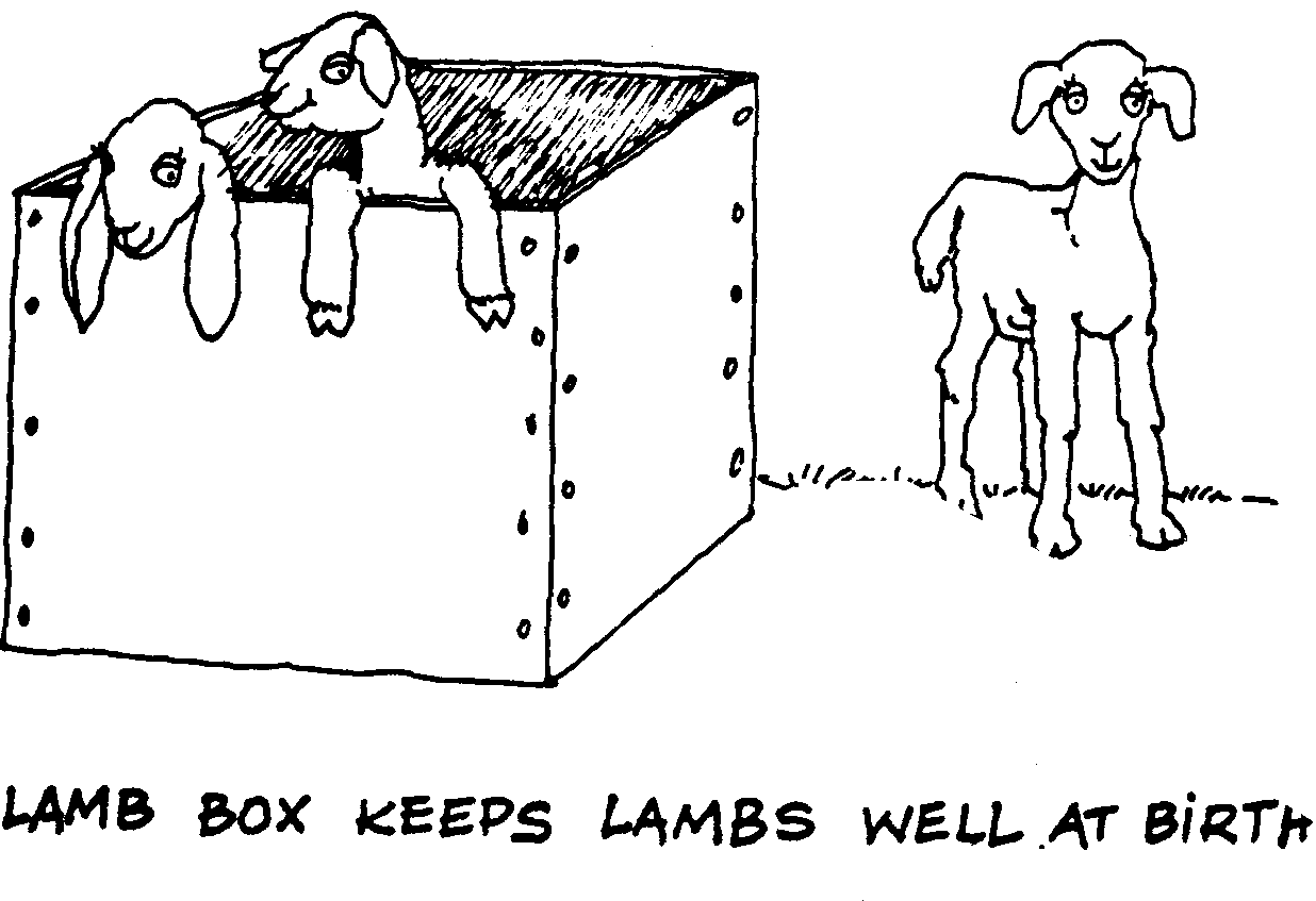 SELF-TEACHING MANUAL IN HAIR SHEEP PRODUCTION