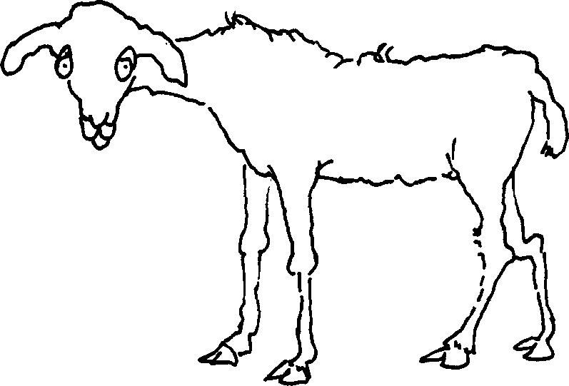 SELF-TEACHING MANUAL IN HAIR SHEEP PRODUCTION