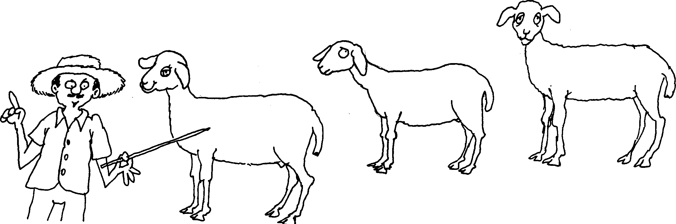 SELF-TEACHING MANUAL IN HAIR SHEEP PRODUCTION