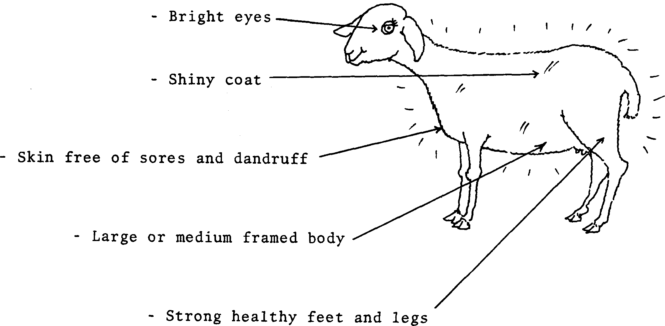 SELF-TEACHING MANUAL IN HAIR SHEEP PRODUCTION