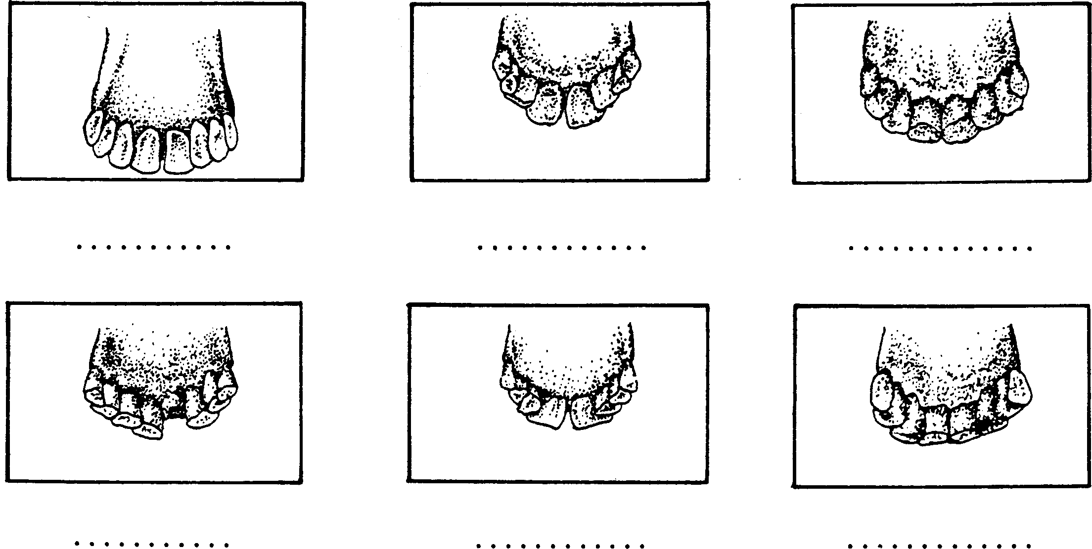 SELF-TEACHING MANUAL IN HAIR SHEEP PRODUCTION