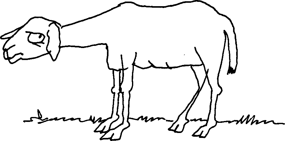 SELF-TEACHING MANUAL IN HAIR SHEEP PRODUCTION