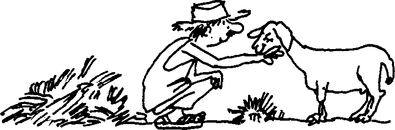 SELF-TEACHING MANUAL IN HAIR SHEEP PRODUCTION