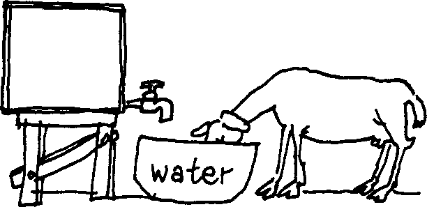 SELF-TEACHING MANUAL IN HAIR SHEEP PRODUCTION