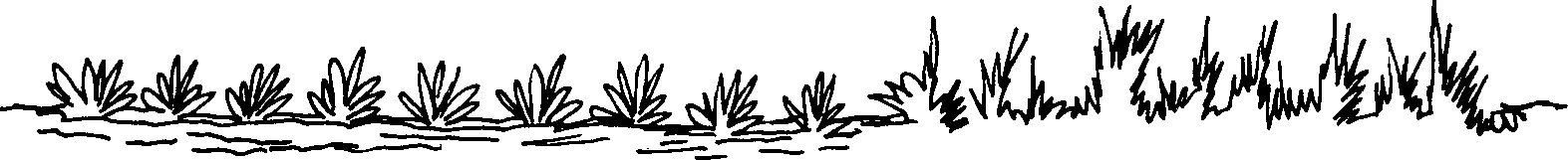 SELF-TEACHING MANUAL IN HAIR SHEEP PRODUCTION