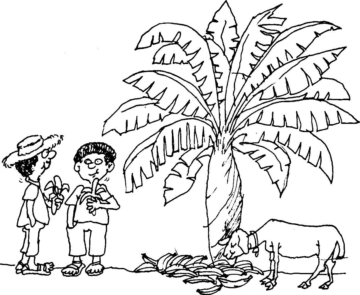 SELF-TEACHING MANUAL IN HAIR SHEEP PRODUCTION