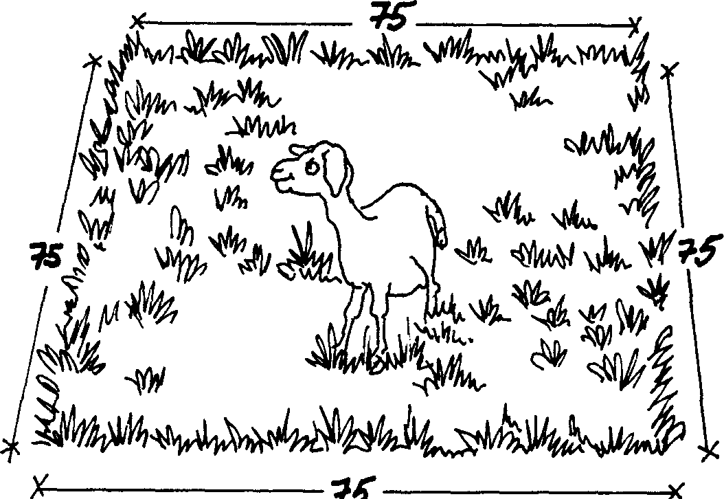 SELF-TEACHING MANUAL IN HAIR SHEEP PRODUCTION