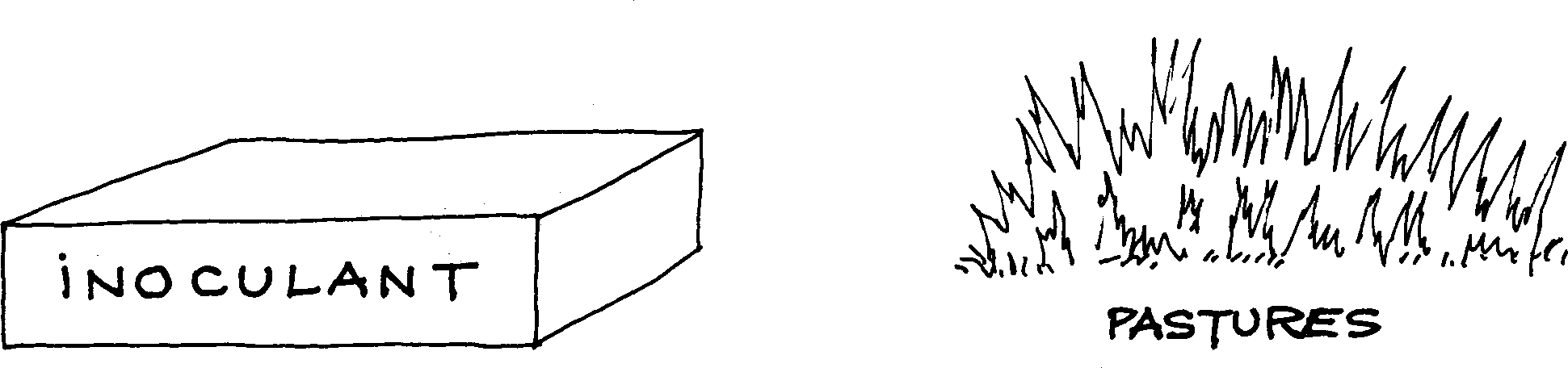 SELF-TEACHING MANUAL IN HAIR SHEEP PRODUCTION