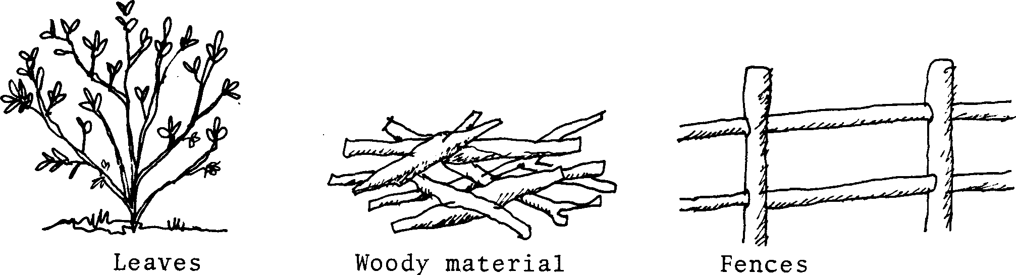 SELF-TEACHING MANUAL IN HAIR SHEEP PRODUCTION