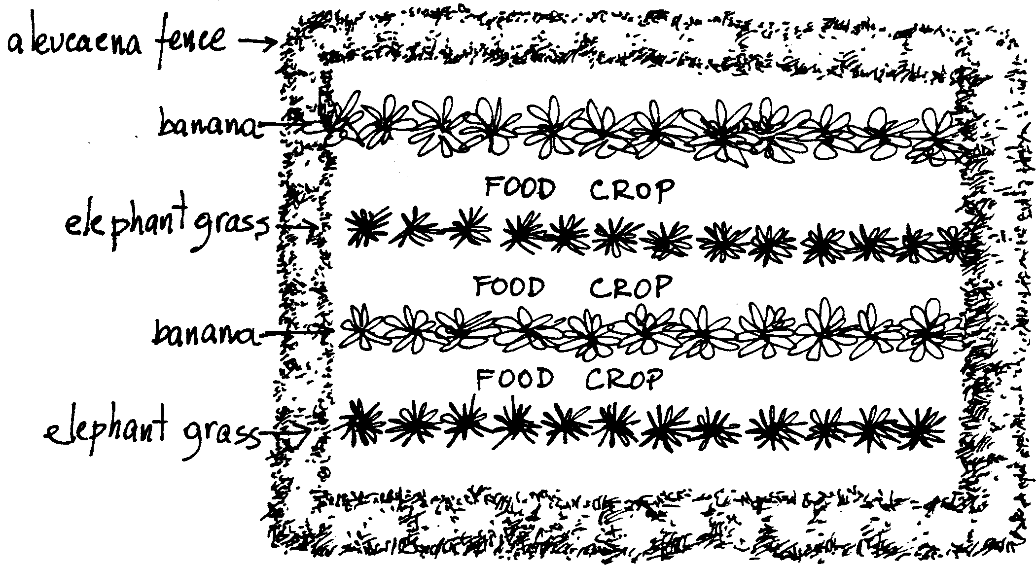 SELF-TEACHING MANUAL IN HAIR SHEEP PRODUCTION