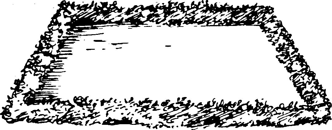 SELF-TEACHING MANUAL IN HAIR SHEEP PRODUCTION