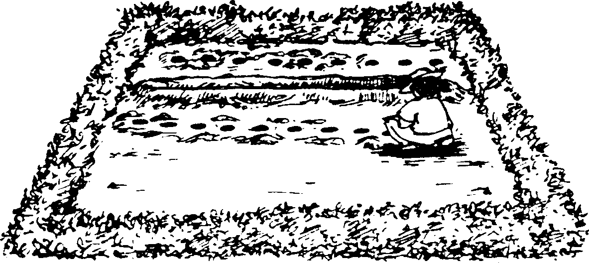 SELF-TEACHING MANUAL IN HAIR SHEEP PRODUCTION