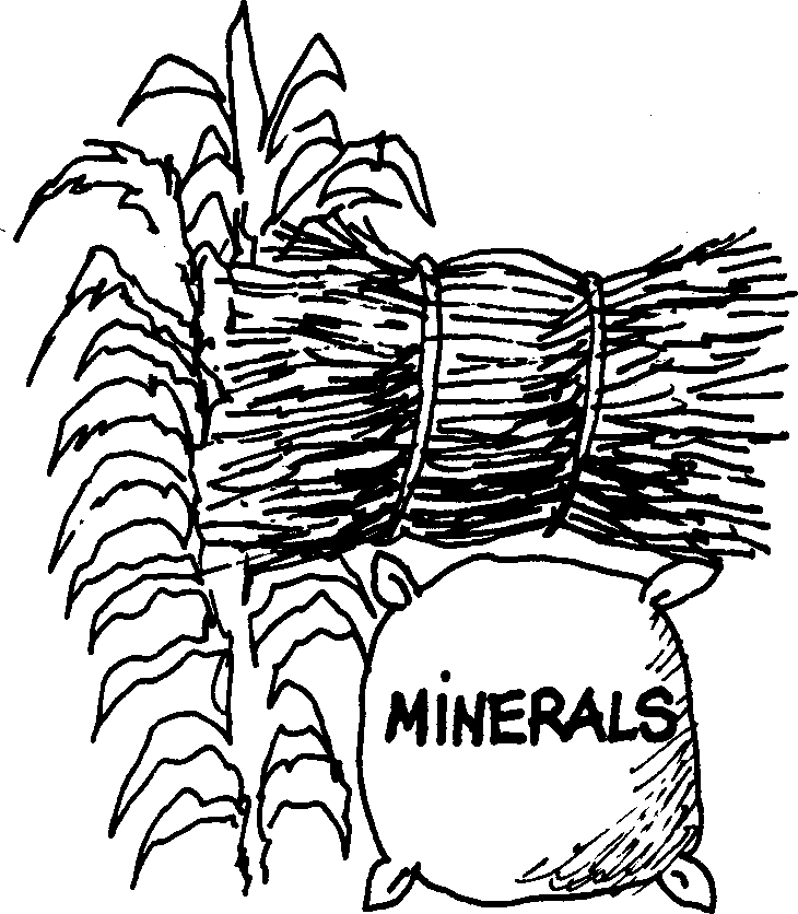 SELF-TEACHING MANUAL IN HAIR SHEEP PRODUCTION