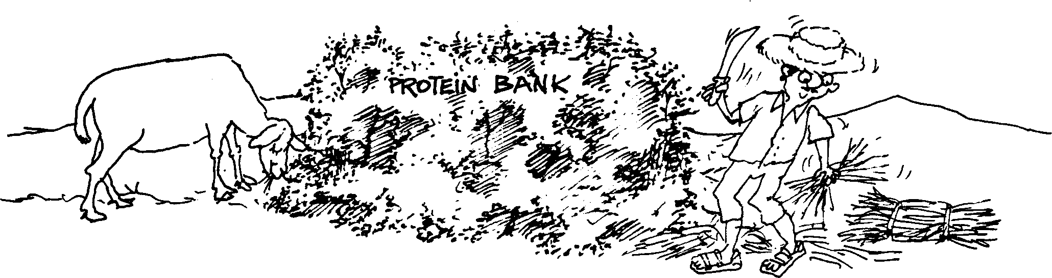 SELF-TEACHING MANUAL IN HAIR SHEEP PRODUCTION