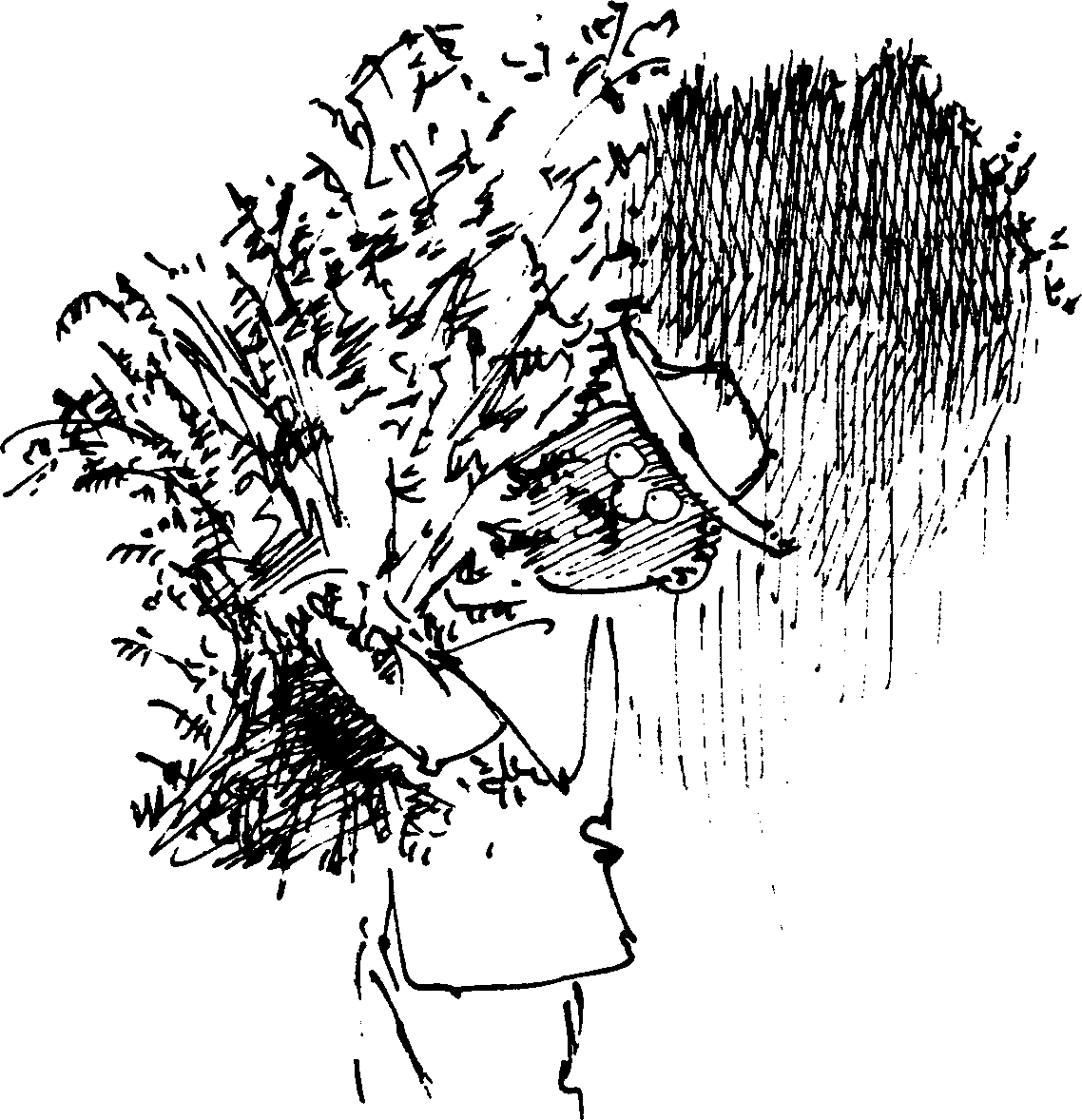 SELF-TEACHING MANUAL IN HAIR SHEEP PRODUCTION