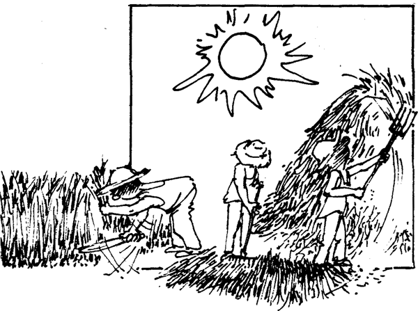 SELF-TEACHING MANUAL IN HAIR SHEEP PRODUCTION