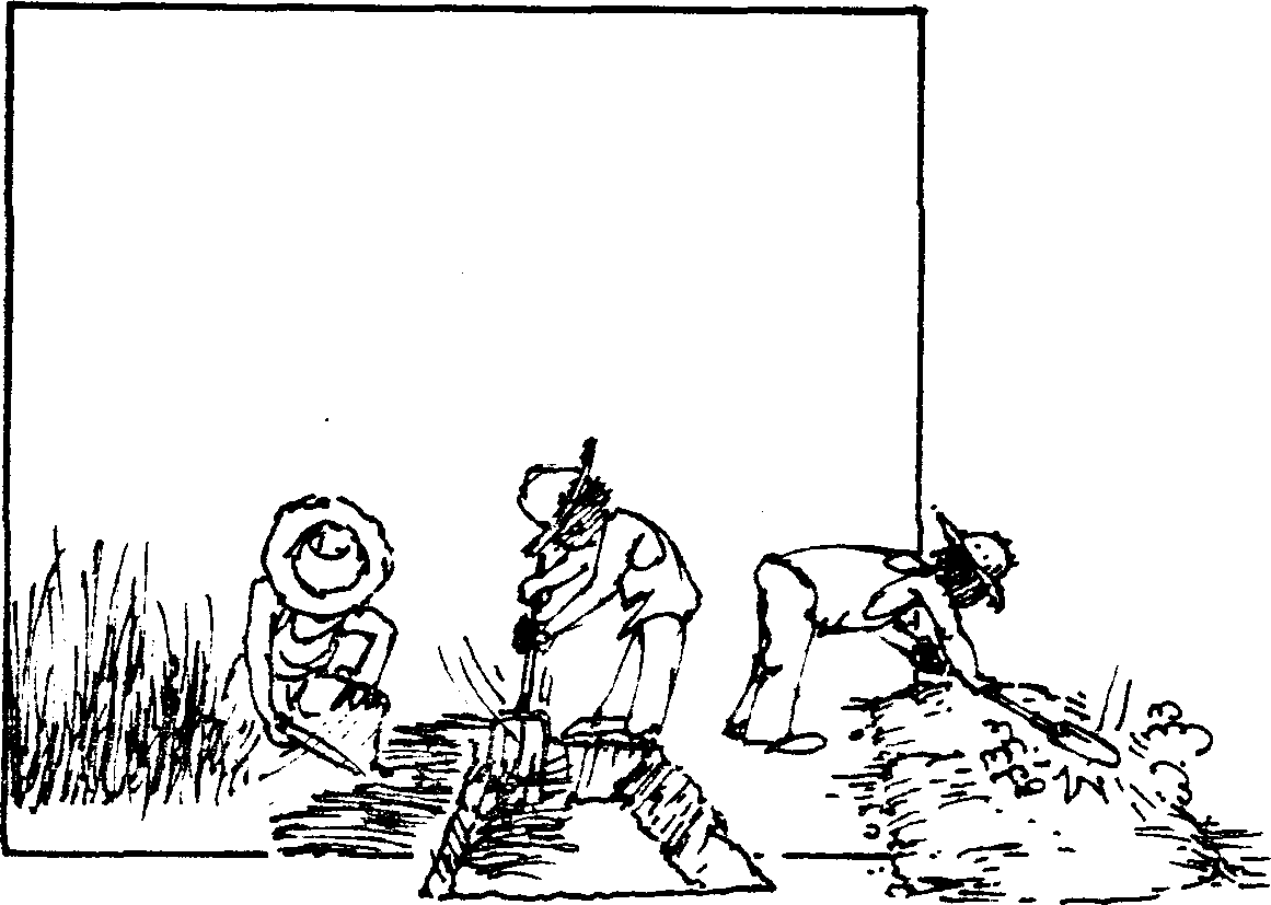 SELF-TEACHING MANUAL IN HAIR SHEEP PRODUCTION