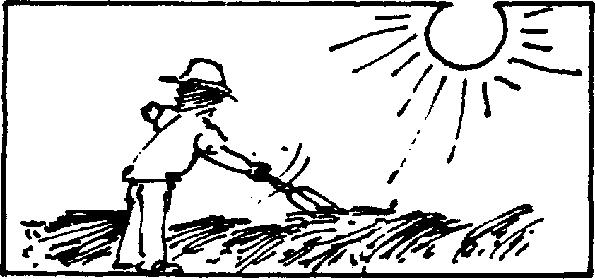 SELF-TEACHING MANUAL IN HAIR SHEEP PRODUCTION