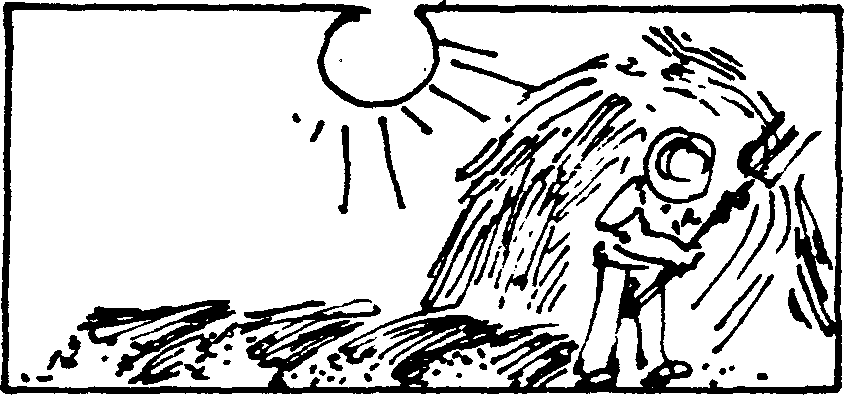 SELF-TEACHING MANUAL IN HAIR SHEEP PRODUCTION