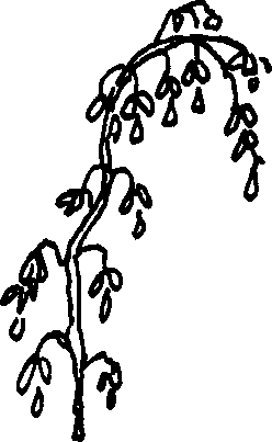 SELF-TEACHING MANUAL IN HAIR SHEEP PRODUCTION