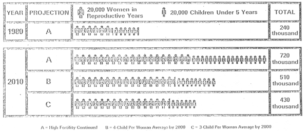 The Integration Of Population Education Into Programmes For Rural Youth In Swaziland