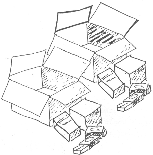 The Integration Of Population Education Into Programmes For Rural Youth In Swaziland