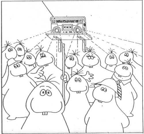 The Integration Of Population Education Into Programmes For Rural Youth In Swaziland