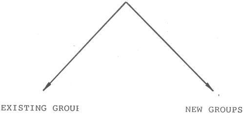 The Integration Of Population Education Into Programmes For Rural Youth In Swaziland