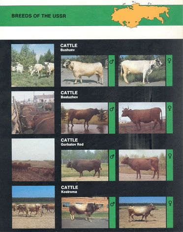 Animal genetic resources of the USSR