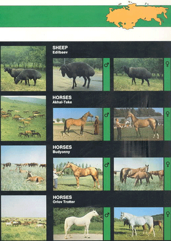 Animal genetic resources of the USSR