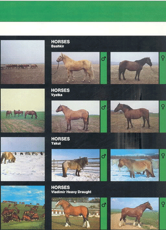 Animal genetic resources of the USSR