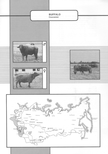 Animal genetic resources of the USSR