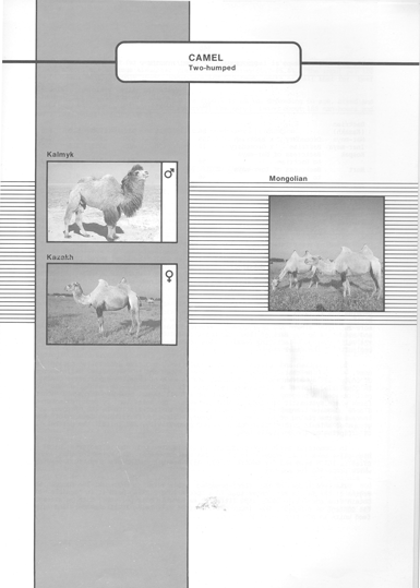 Animal genetic resources of the USSR