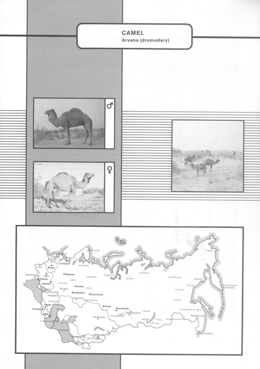 Animal genetic resources of the USSR