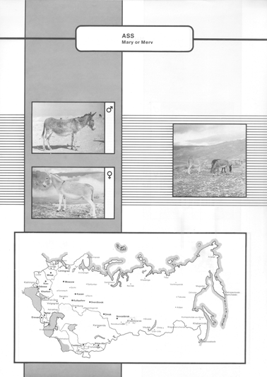 Animal genetic resources of the USSR