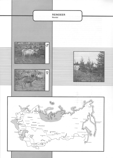 Animal genetic resources of the USSR