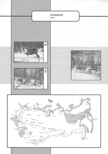 Animal genetic resources of the USSR