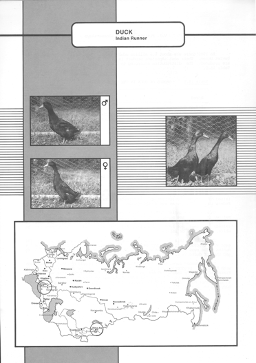 Animal genetic resources of the USSR