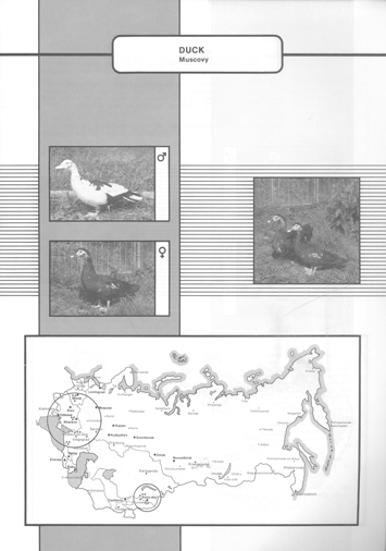 Animal genetic resources of the USSR