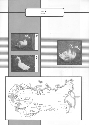 Animal genetic resources of the USSR