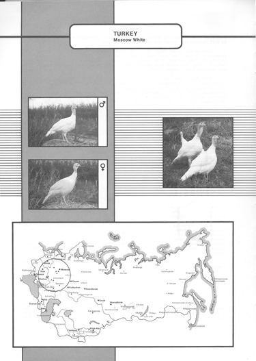 Animal genetic resources of the USSR