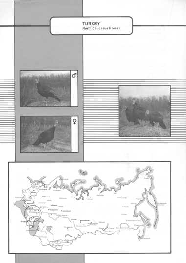 Animal genetic resources of the USSR