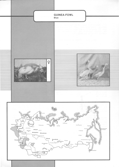 Animal genetic resources of the USSR