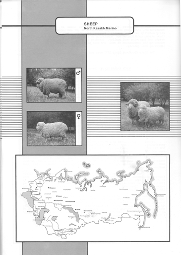 Animal genetic resources of the USSR
