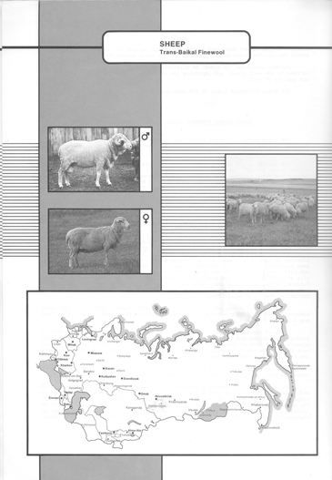 Animal genetic resources of the USSR