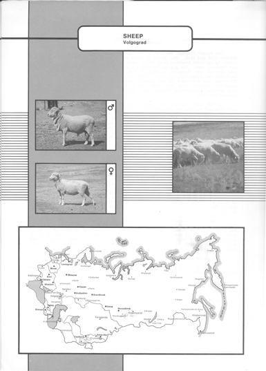 Animal genetic resources of the USSR