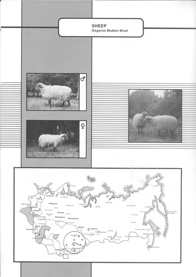 Animal genetic resources of the USSR