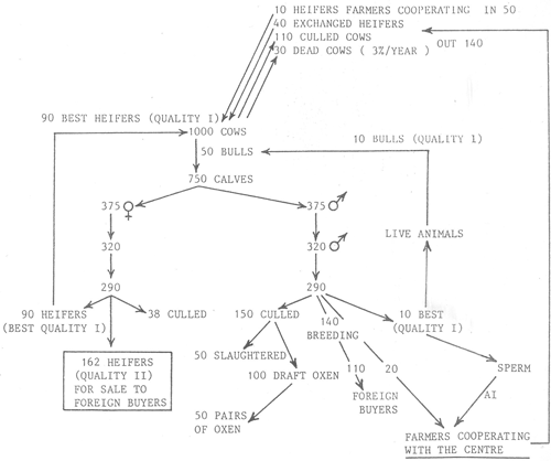 Animal genetic resources conservation by management, data banks and training