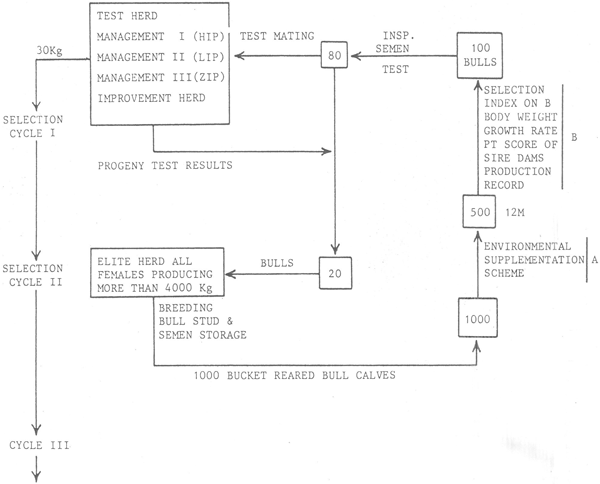 Animal genetic resources conservation by management, data banks and training