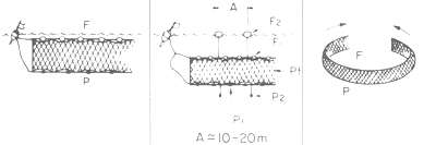 GUIDE PRATIQUE DU MARIN PÊCHEUR